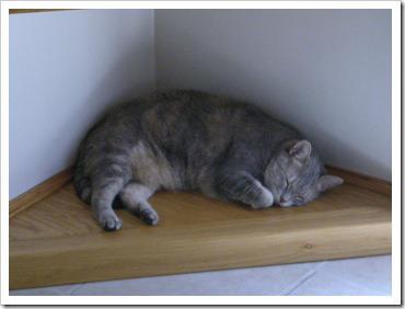 It’s (not) Complicated