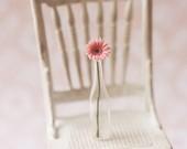 Dollhouse Miniature Flowers - Gerbera Daisy Light Pink - miniaturepatisserie