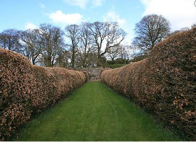 Nothing Like An Irish Garden!