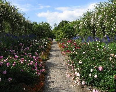 Nothing Like An Irish Garden!