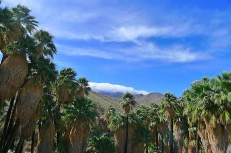 If Palm Springs was good enough for Doisneau, it is good enough for me!