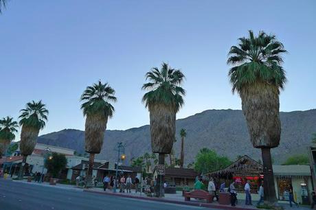 If Palm Springs was good enough for Doisneau, it is good enough for me!