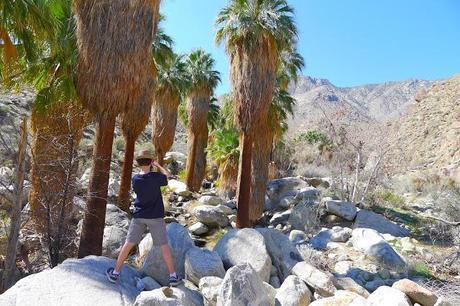 If Palm Springs was good enough for Doisneau, it is good enough for me!
