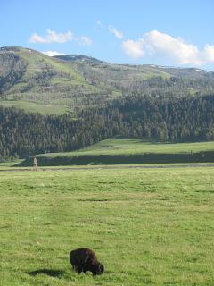 Endless Skies and Mountain Tops