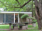 Revolution Unlikely Land