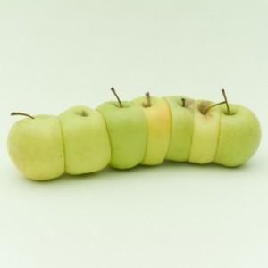 FLORENT-TANET-Food-Photography-5-600x406