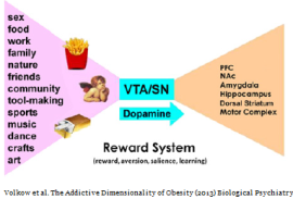 That Was the Week That Was (#311) reward bowtie