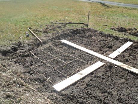 2013 Pittsburgh Sports Forum Gardening Thread