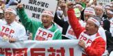 Japanese farmers at Anti-TPP in 2012