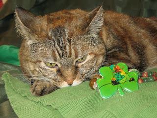 Photos: Happy St. Patrick's Day to You and your Pets!