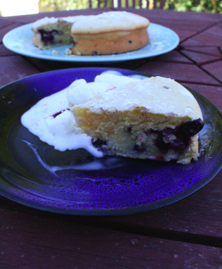 berry butter cake nzmuse 