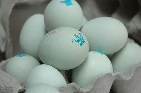 The sky may be grey, but the eggs are blue