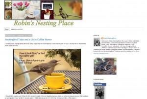 Indiana Blogs: Robin's Nesting Place