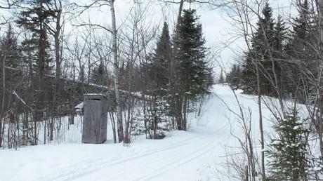 Photo of Pinetree Loop ski trail in Algonquin Park