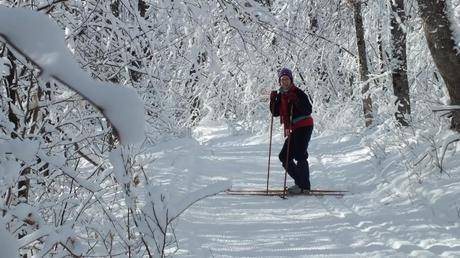 Jean on wintery Fen Lake Ski Trail - Algonquin Park - Ontario