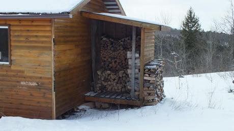 Photo of the Pinetree shelter - firewood - Algonquin Park