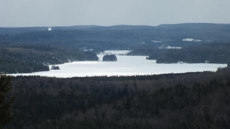 Photo of Fraser Lake and its little island in Algonquin Park - Ontario