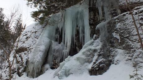 Ice Shelf 2 - Leaf Lake Ski Trail - Algonquin Park - Ontario