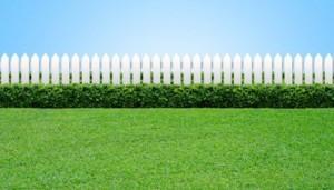grass_fence