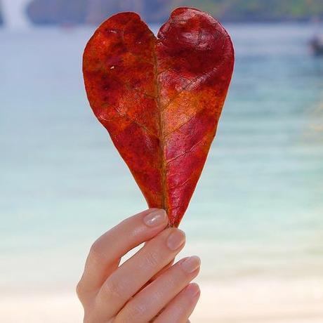 Monday Mingle #35 Love