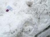 German Cops Issued Parking Ticket Made Snow