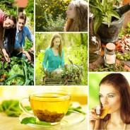 Herbal Remedies for Skin Cancer