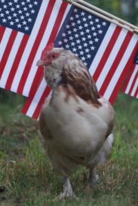 flag and chicken