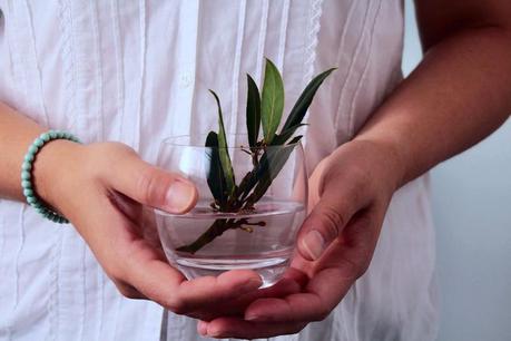 add a personal touch, recycling old glasses, create, inspiring, from drinking glass to flower vase
