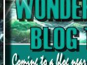 {Guest Post} Wondertown Fallows