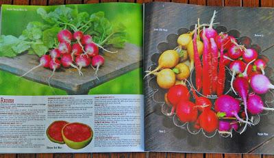Learning to love radishes