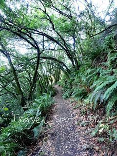 Happy Trails Happy Trails