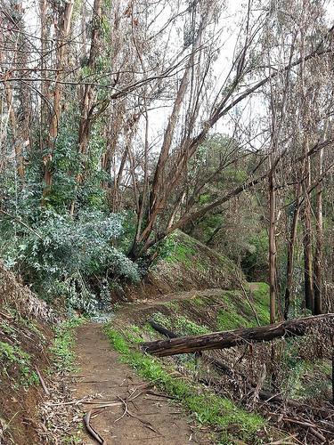 lake chabot