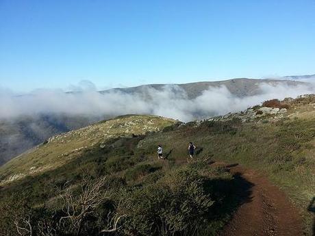 Rodeo Beach Trail Race