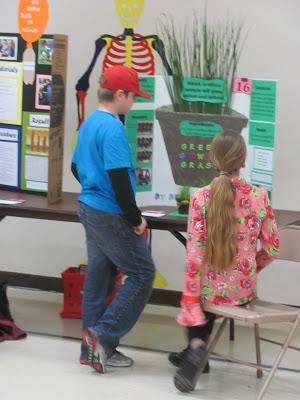 Brailey's Fifth Grade Science Fair Project - Green Growing Grass