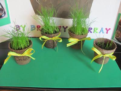 Brailey's Fifth Grade Science Fair Project - Green Growing Grass