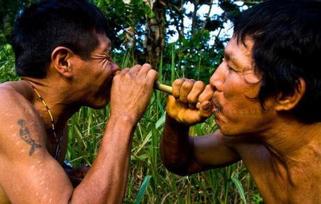 Two Matsés men inhale potent tobacco snuff. The cuts on the man's arm indicate where frog poison has been applied – a traditional Matsés practice to aid hunting skills.