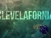 King Chip "Under Palm Trees"