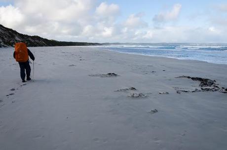 sand beach at bridgewater bay