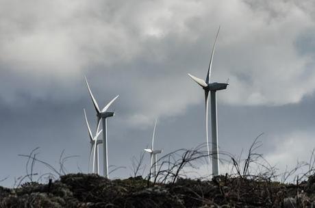 wind turbines at cape bridgewater