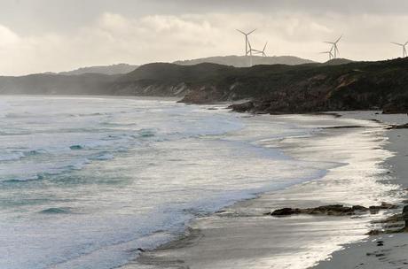 wind turbines near bridgewater bay