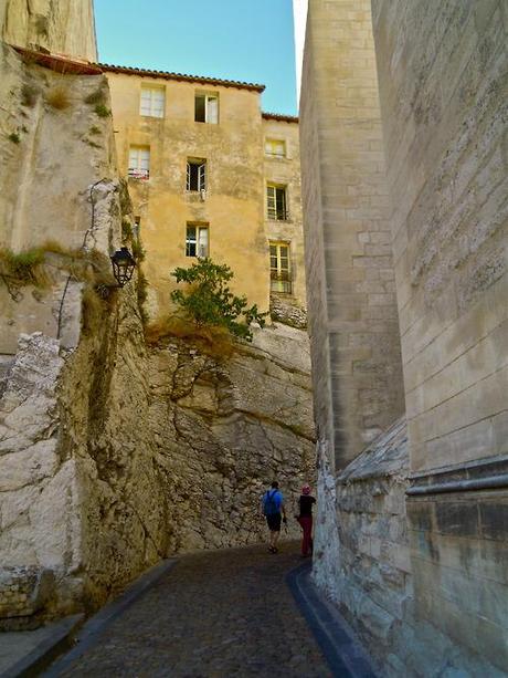 Nîmes and Avignon
