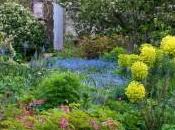 Three Unmissable Gardening Events This Year