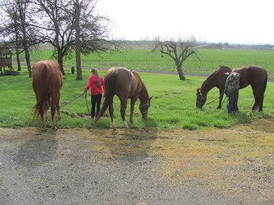 Spring Rides