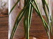 Beauty Blessing Authenticity: Attacks Character Being Unique