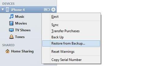 Restore from Backup