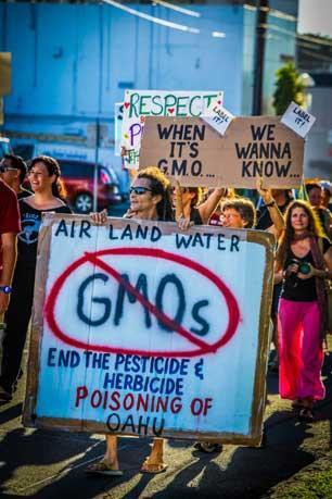 Anti GMO demonstration in Hawaii. (Photo: Kai Markell)