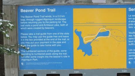 Beaver Pond Trail sign - Algonquin Provincial Park