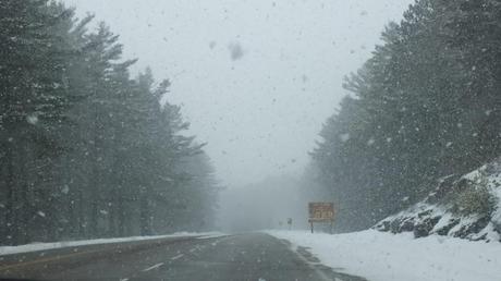 Highway 60 under snowstorm in Algonquin Provincial Park