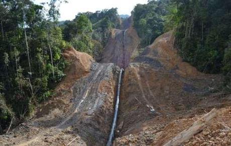 The 500km pipeline, built by the Malaysian national oil company Petronas, is cutting through the Penan's forest, making hunting difficult.© Survival