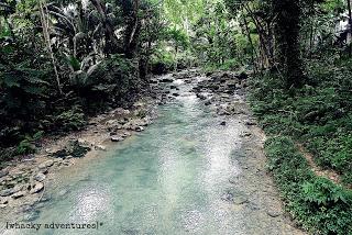 Kawasan Falls, Badian, Cebu: ..of  road trips, nature walks and chasing waterfalls.